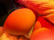 Фото проститутки Карина №2 в городе Новокузнецк